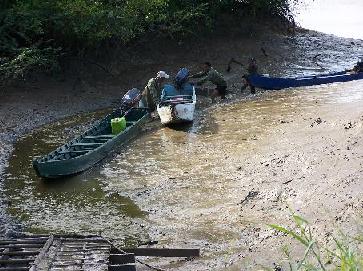 de bootjes worden door de modder gesleurd in het vogelreservaat bij Nickerie
